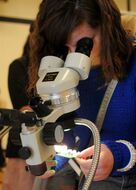 A female student observing a slide under the microscope!